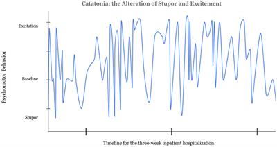 Excited Catatonia in Autism Spectrum Disorder: A Case Series